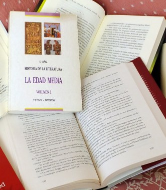 Comentarios literatura