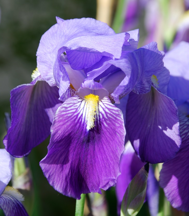 La chica que dejaste atrás&nbsp;(2012)