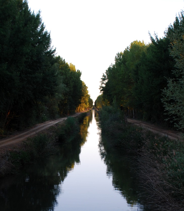 Laberintos de la noche