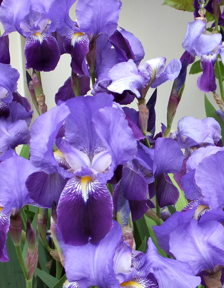 La Casa de las Olas&nbsp;(2003)