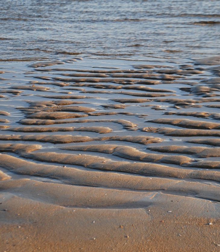 Literatura de evasión