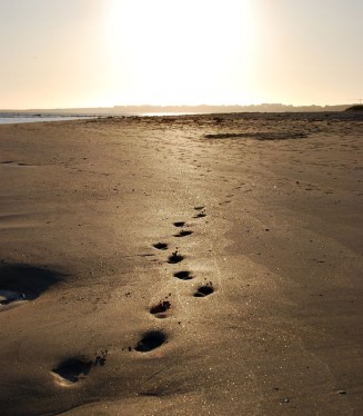 Elizabeth Jane Howard