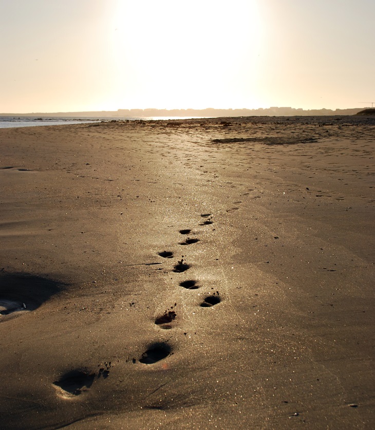 Elizabeth Jane Howard&nbsp;(1923-2014)