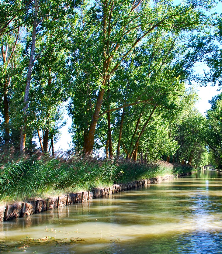 La vida privada de los Seymour&nbsp;(2008)