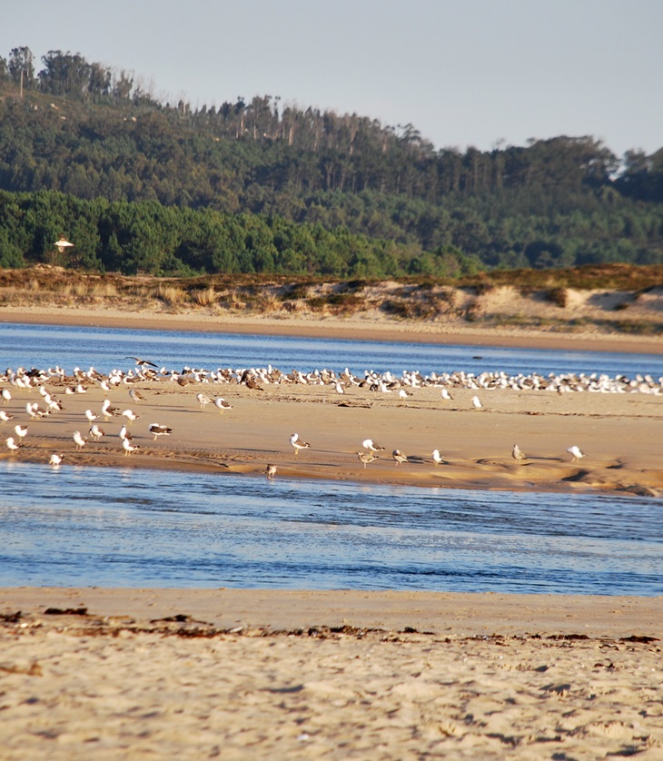 Los años ligeros&nbsp;(1990)