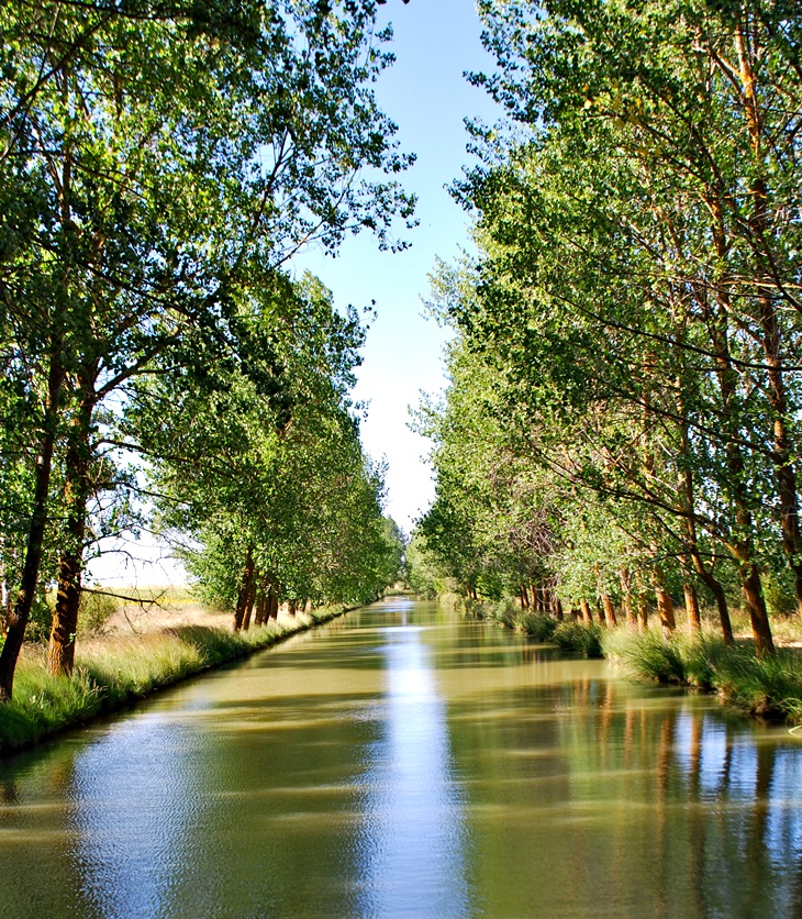 Itsaso Lozano Madariaga&nbsp;(1969)