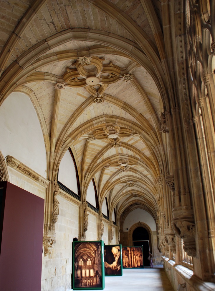 Monacatus (20120913)