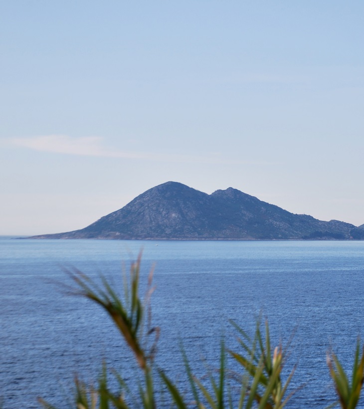 La cuarta víctima&nbsp;(2011)