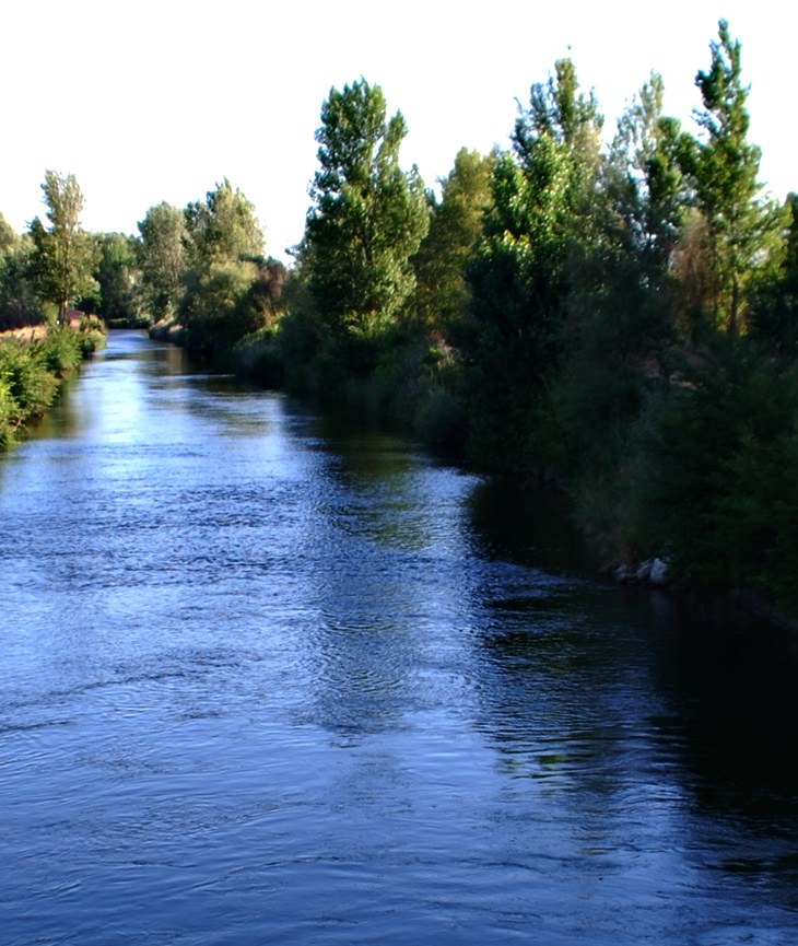 El día que se perdió la cordura&nbsp;(2017)