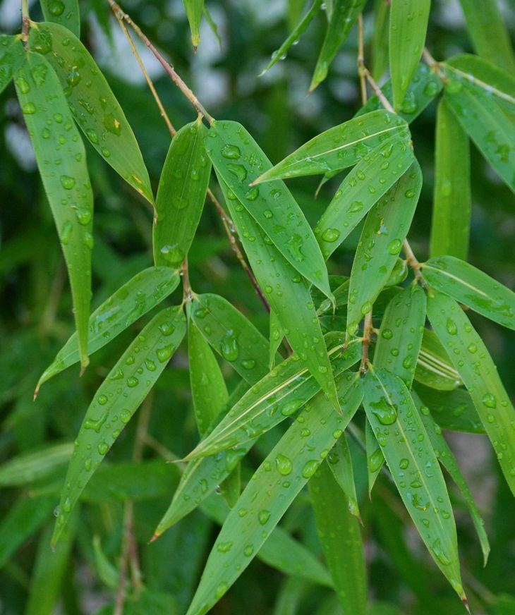 La desaparición de Stephanie Mailer&nbsp;(2018)