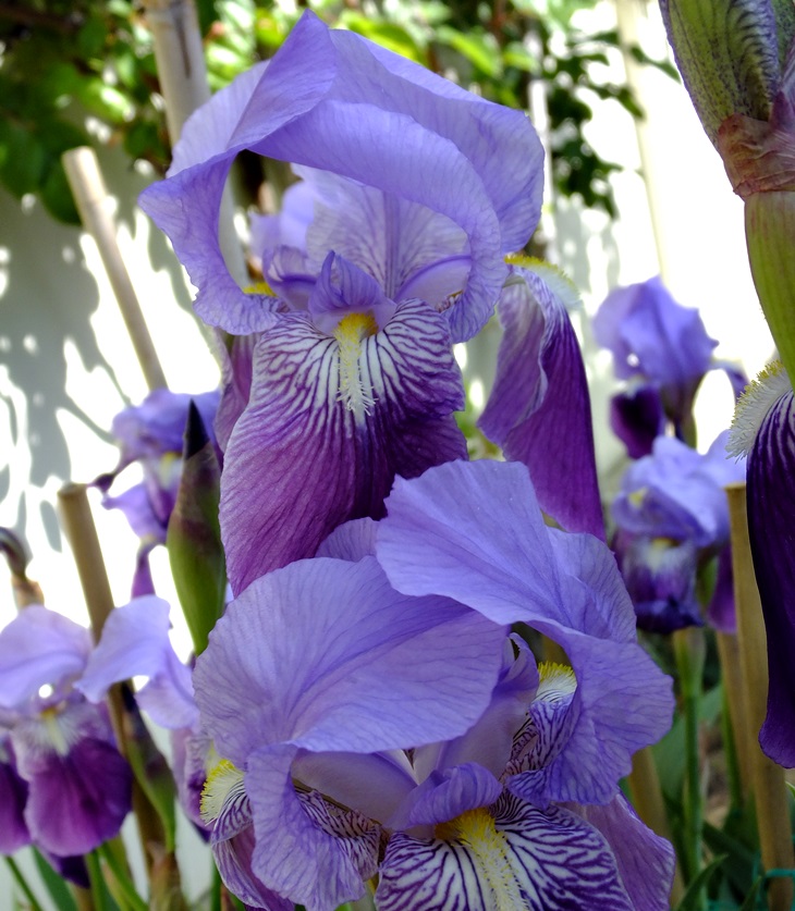 Después de ti&nbsp;(2015)