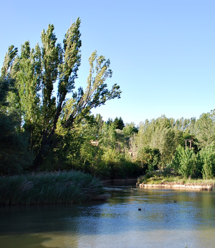Javier Castillo (1987)