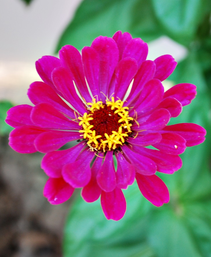 Nada más verte&nbsp;(2012)