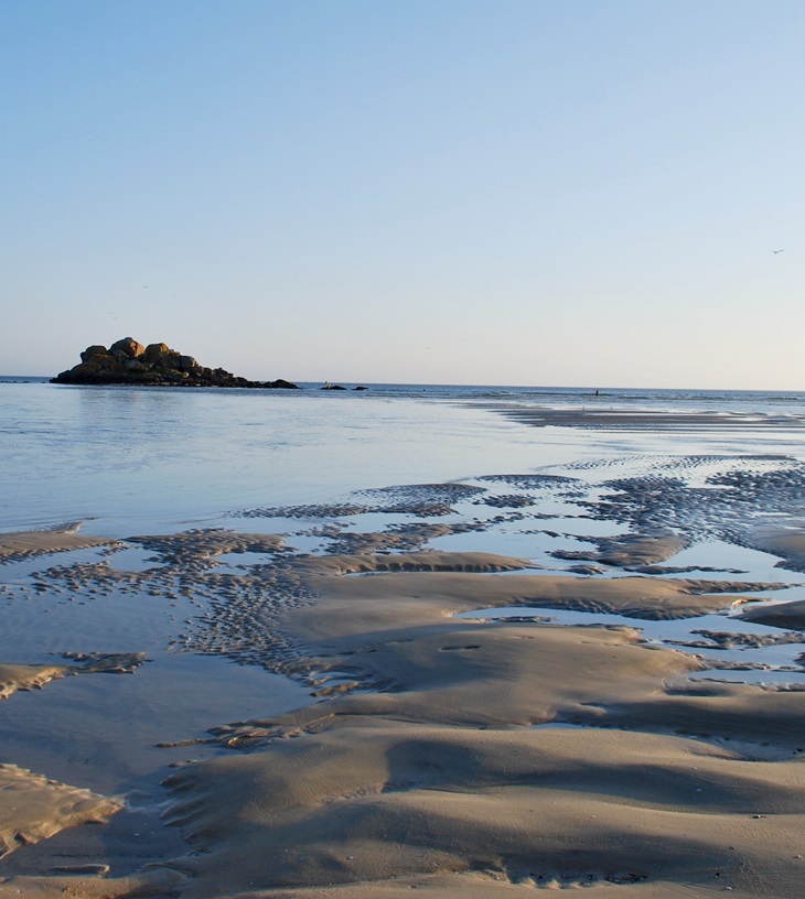 Tim resuelve un caso&nbsp;(1956)