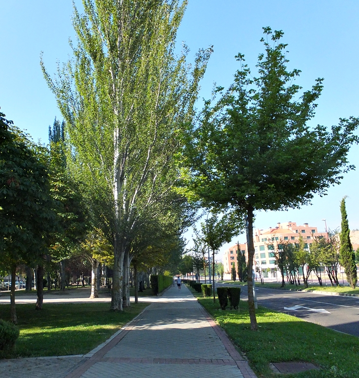 Belén Gopegui (1963)