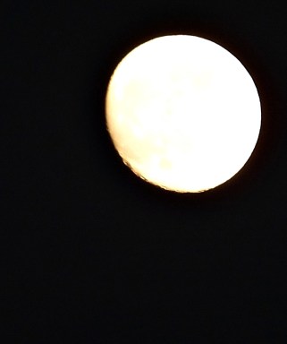 Quédate día noche D