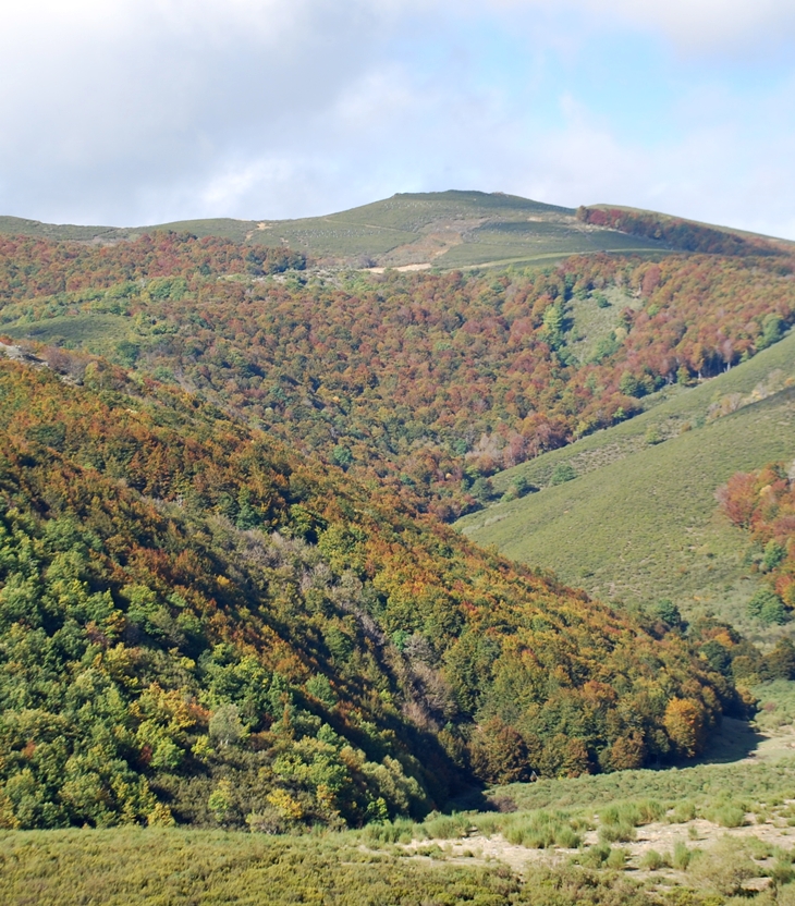 Aventura otoñal (1955)