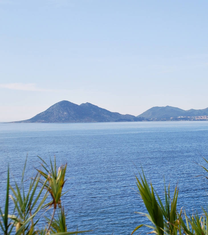 Lucinda Riley (1965-2021)