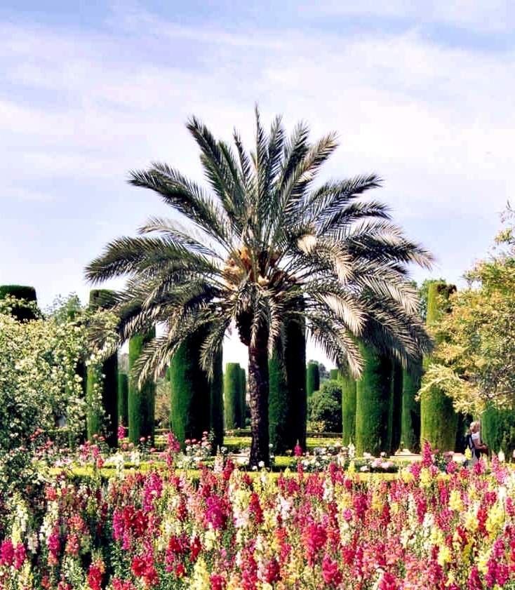 Las siete hermanas. La historia de Maia.&nbsp;(2014)