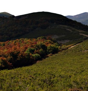 Marqués desaparecido D