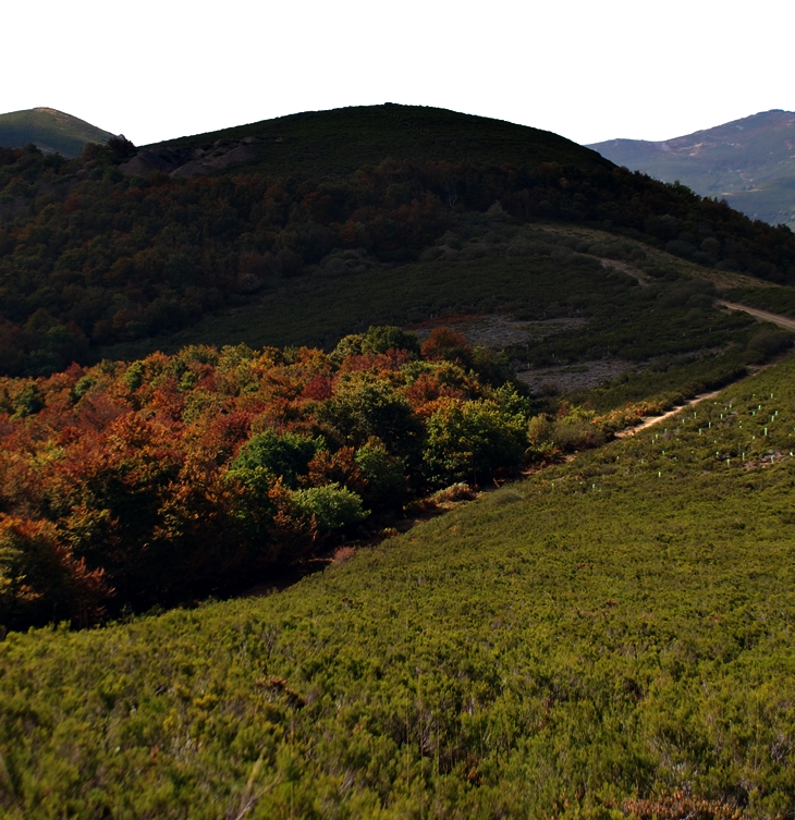 El caso del marqués desaparecido&nbsp;(2016)