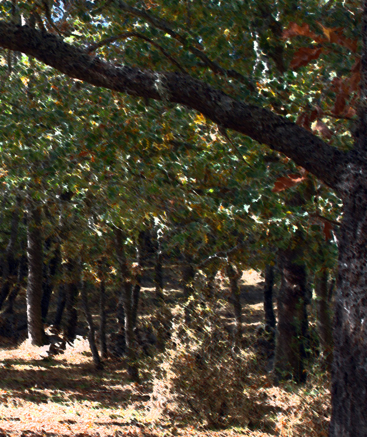 Mikkel Birkegaard (1968)