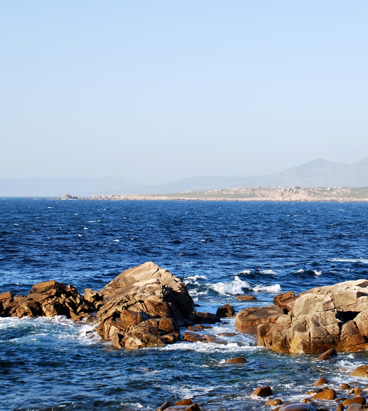 Puerto Escondido (2015)