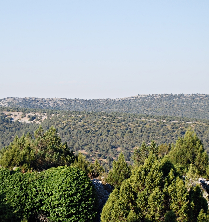 Carazo – Incluido en el Plan de Ordenación de los Recursos Naturales del Espacio Natural «Sabinares del Arlanza – La Yecla»&nbsp;(Burgos)