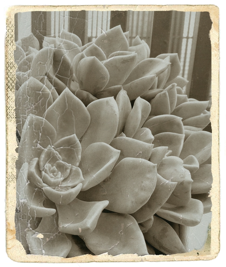 Carla Montero Manglano&nbsp;(1973)