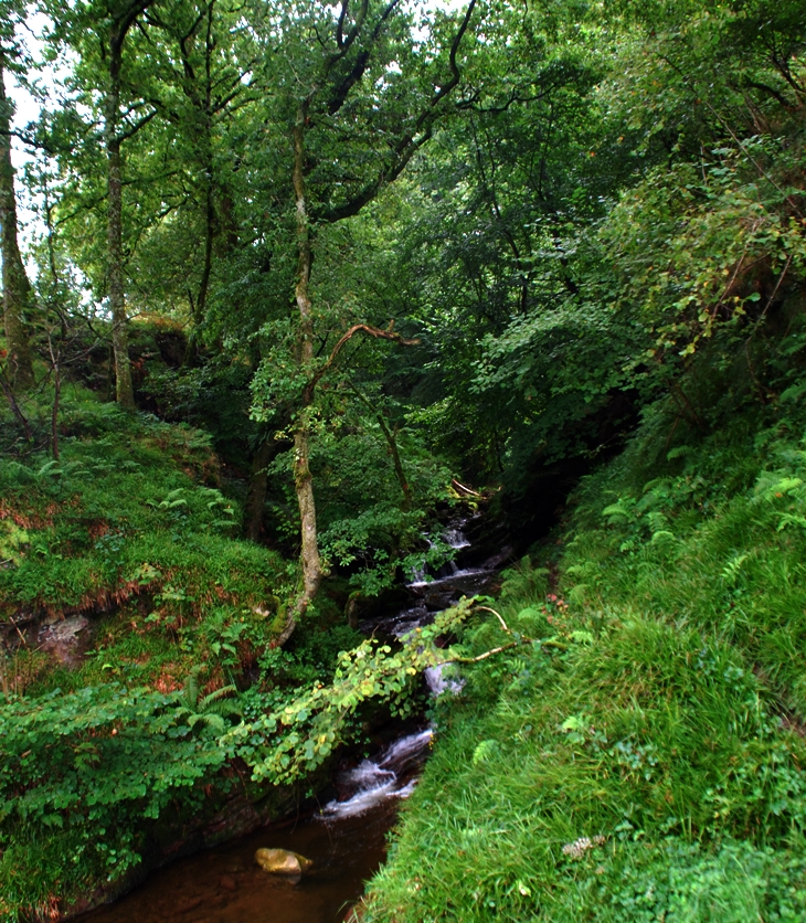 Dolores Redondo (1969)