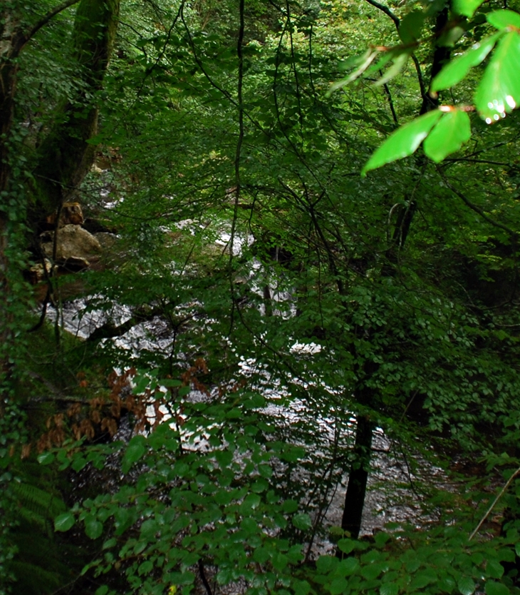 El guardián invisible&nbsp;(2013)