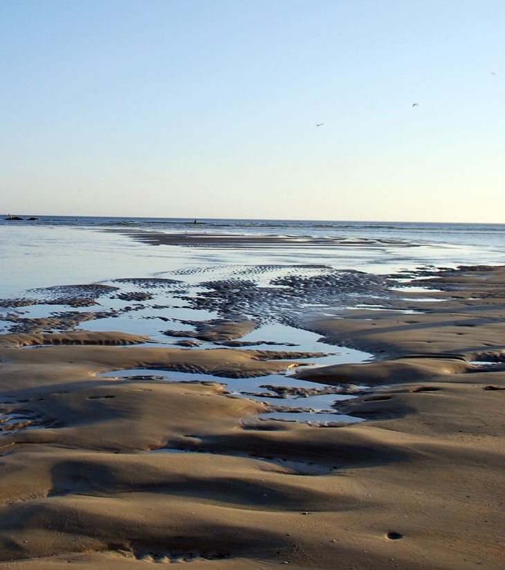 Tiempo de espera&nbsp;(1991)