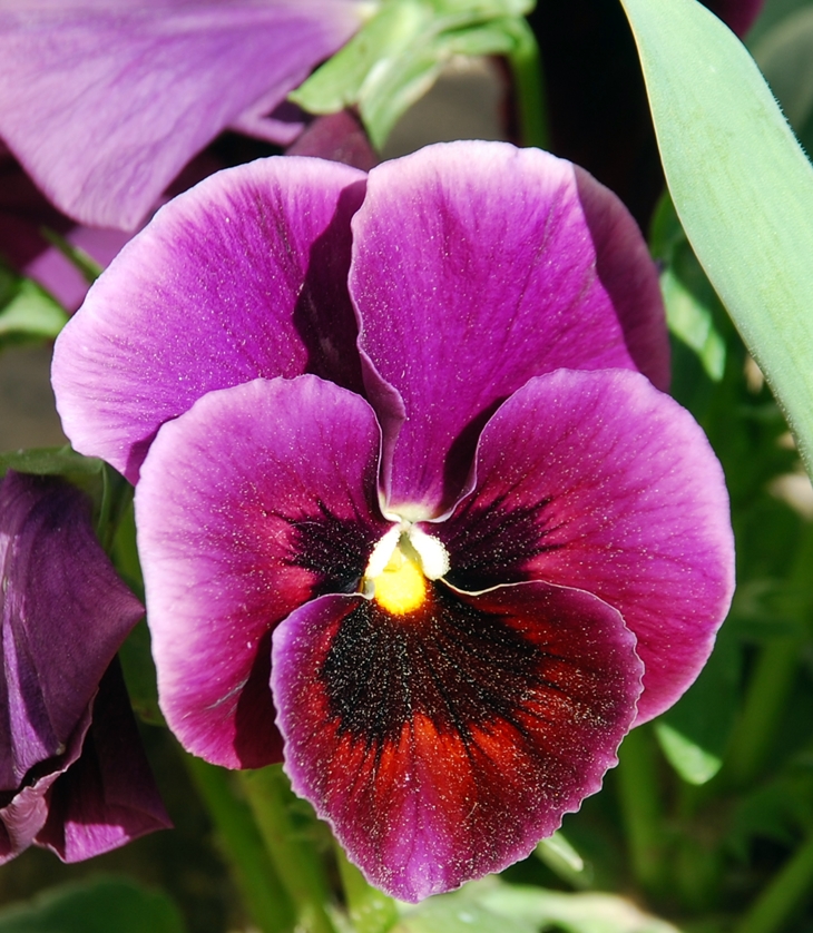 Primero, las personas