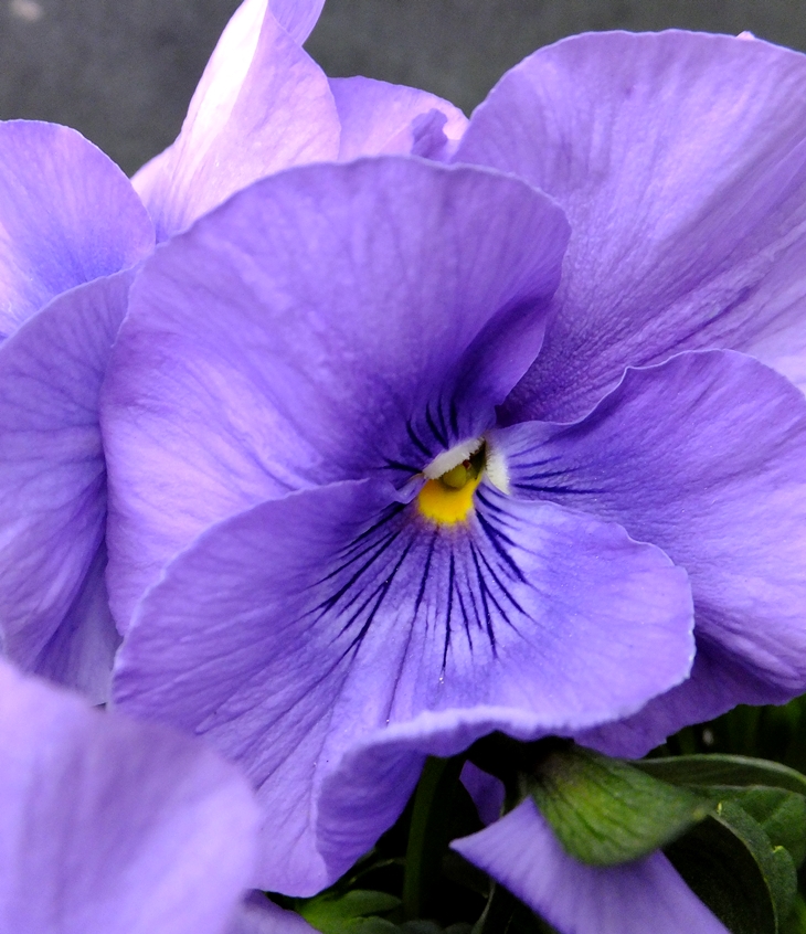 Móviles. ¡No molesten, por favor!