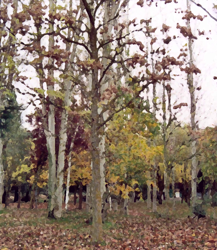 Noelia Amarillo (1972)