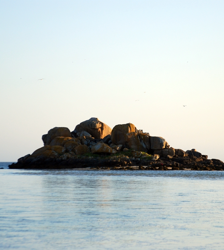 Los cinco y el tesoro de la isla&nbsp;(1942)