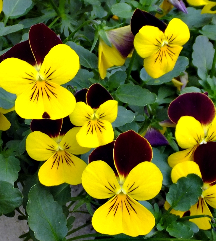 Reformas en la Administración pública