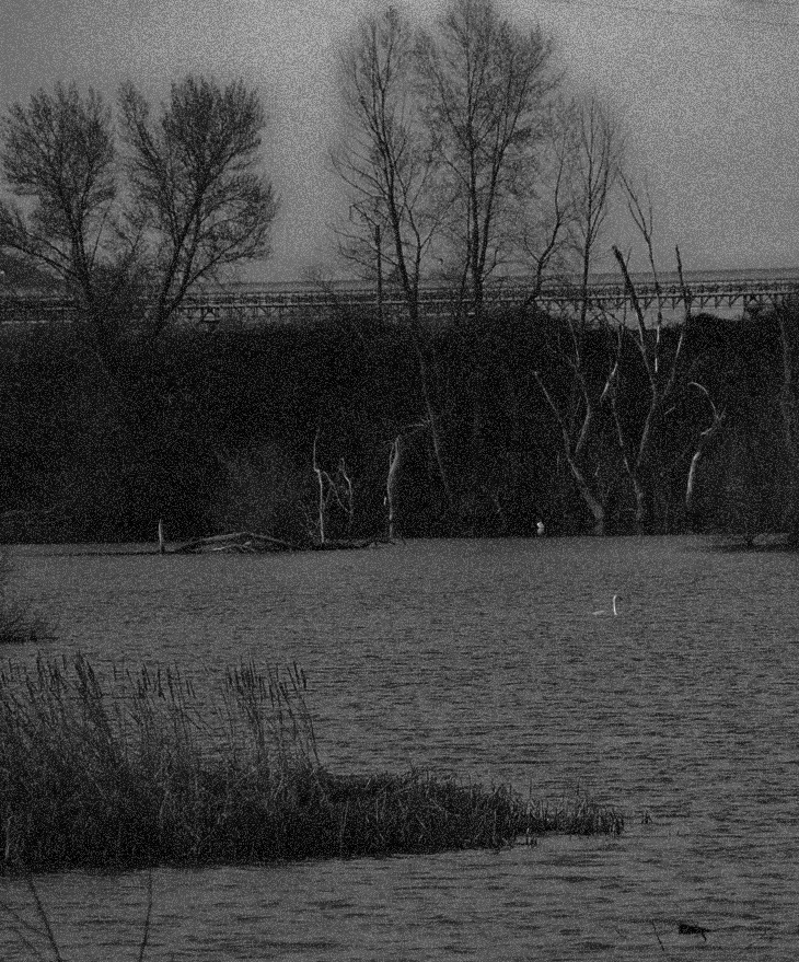 Venganza en el Támesis&nbsp;(2016)