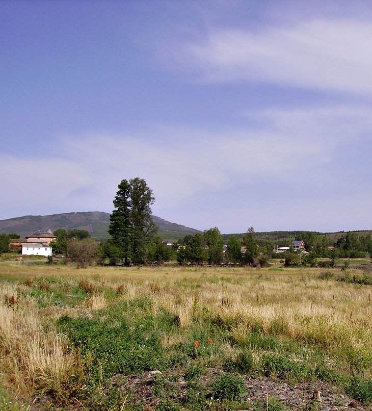 Asesinos sin rostro&nbsp;(1991)