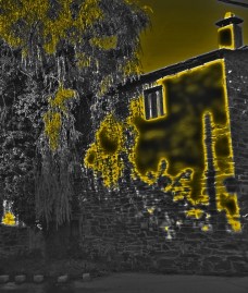 Cuando-sale-reclusa-D