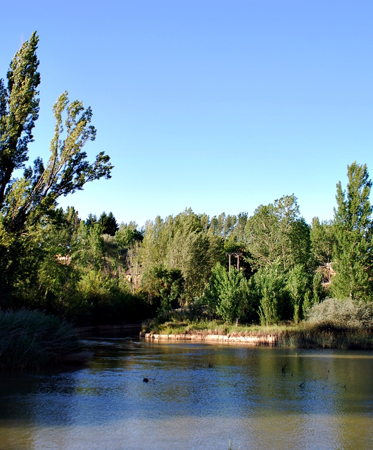 Doble silencio (2009)