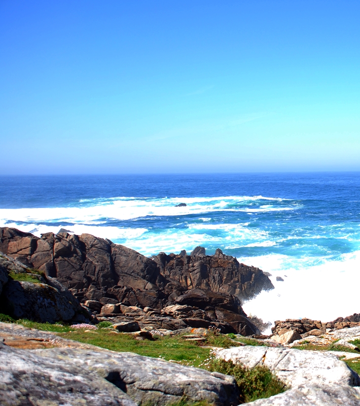 Una dulce venganza&nbsp;(1991)