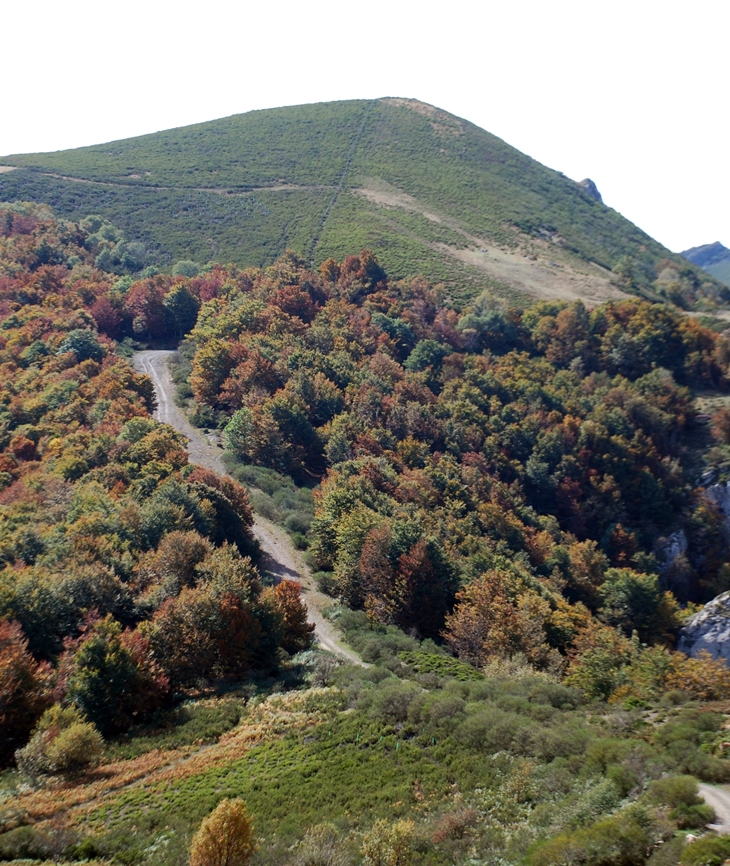 De qué hablo cuando hablo de correr&nbsp;(2007)