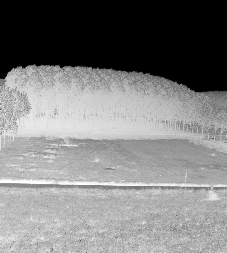 La leona blanca&nbsp;(1993)