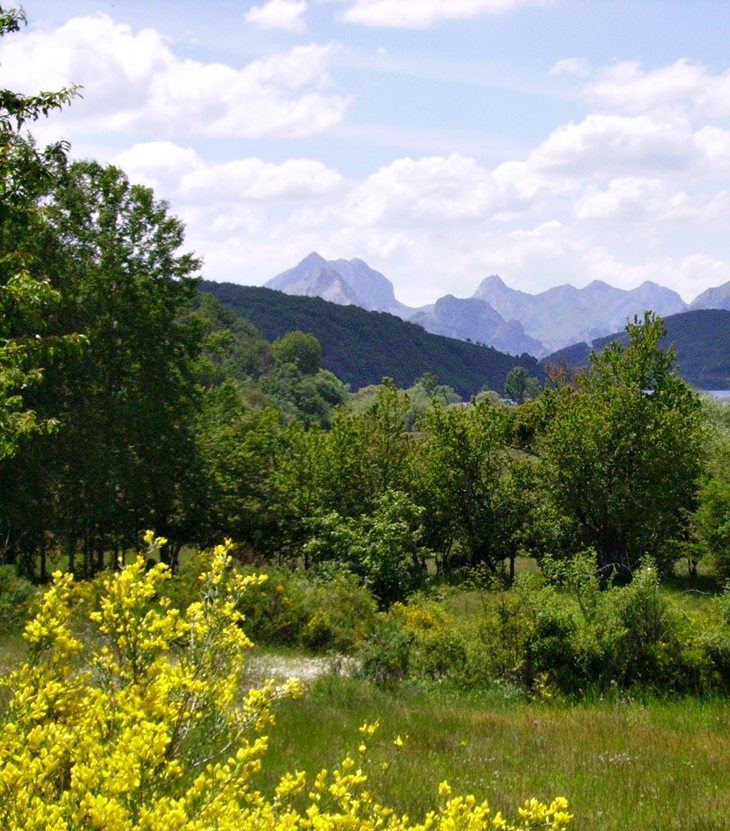 Lucy Maud Montgomery&nbsp;(1874-1942)