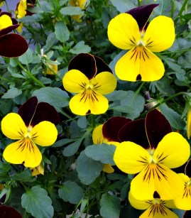 Reforma Administración 3 D