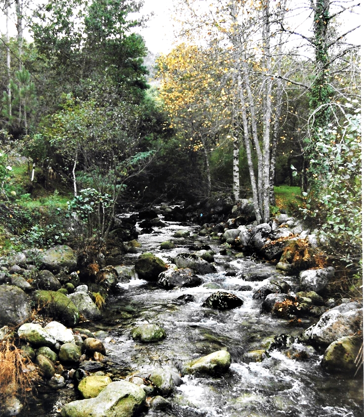 Todo esto te daré&nbsp;(2016)