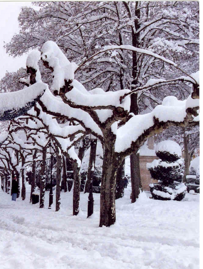 Tormenta de nieve y aroma de almendras&nbsp;(2007)
