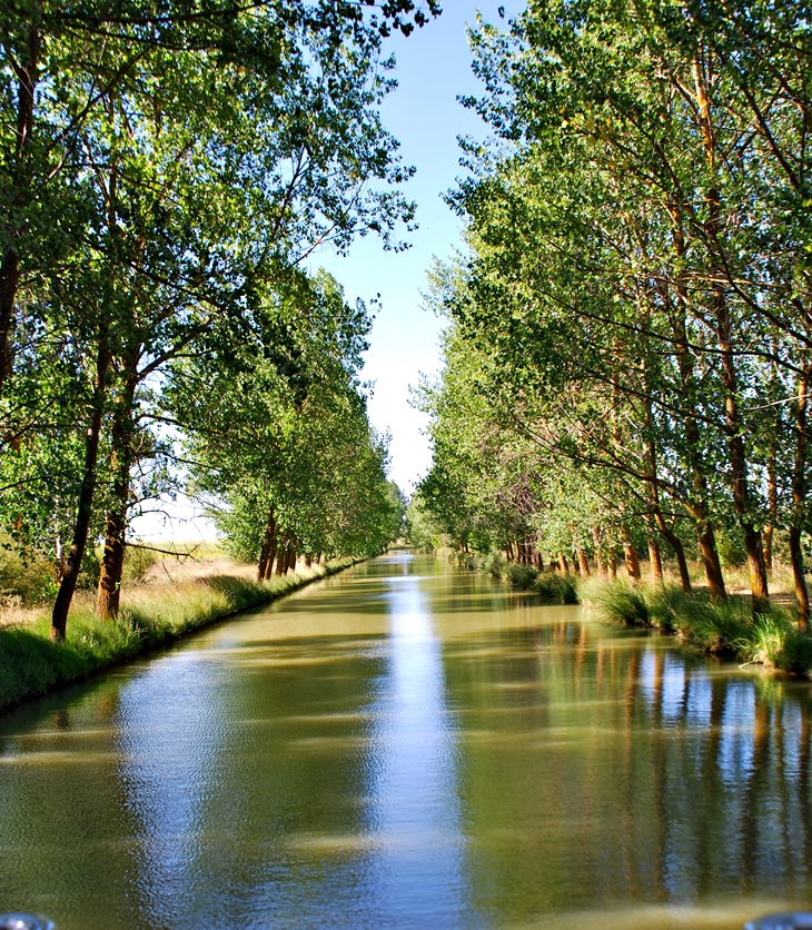 Paseo en barco por el Canal de Castilla&nbsp;(20100805)