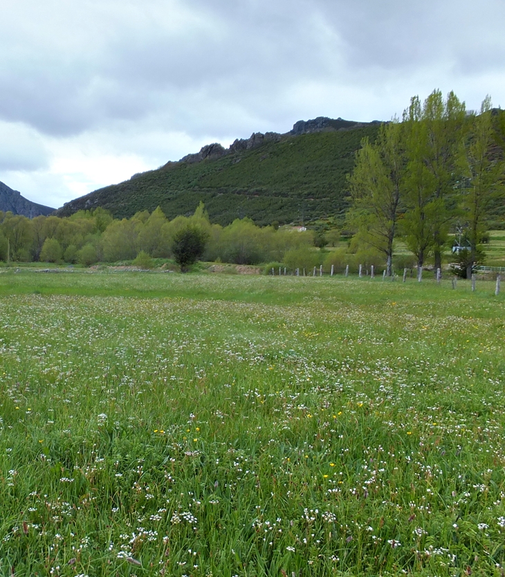 Ana la de Tejas Verdes&nbsp;(1908)